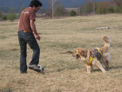 クリックで大きな画像に