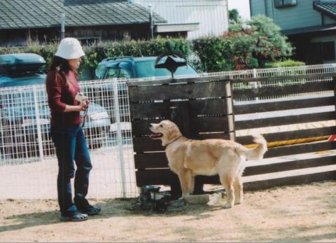 クリックで大きな画像に