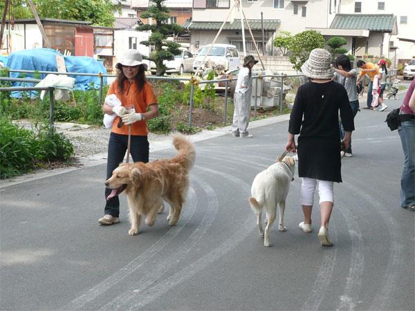 クリックで大きな画像に