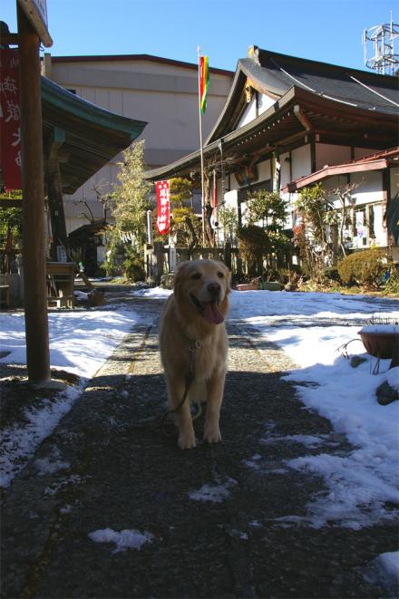 クリックで大きな画像に