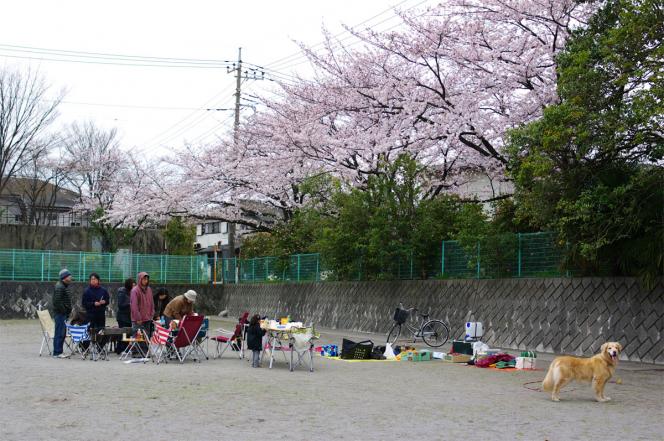 クリックで大きな画像に