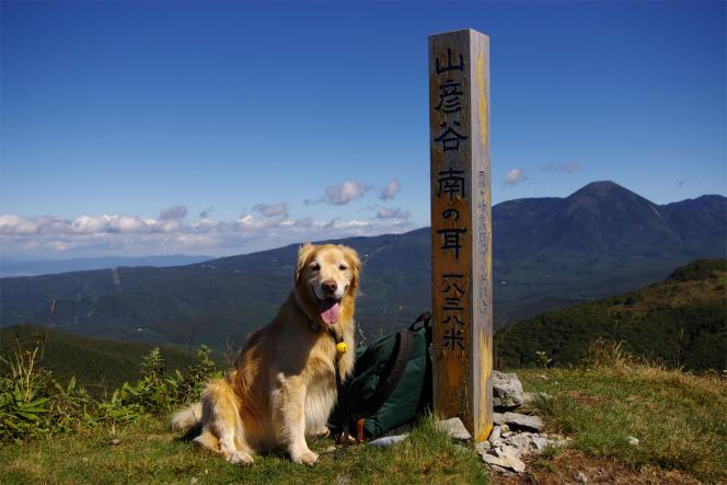 クリックで大きな画像に