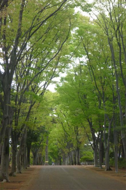 クリックで大きな画像に