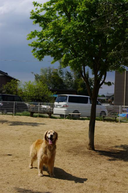 クリックで大きな画像に
