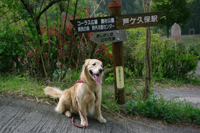 クリックで大きな画像に