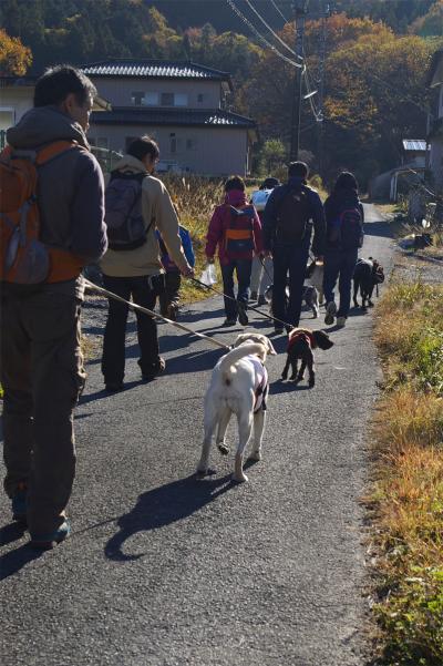 クリックで大きな画像に