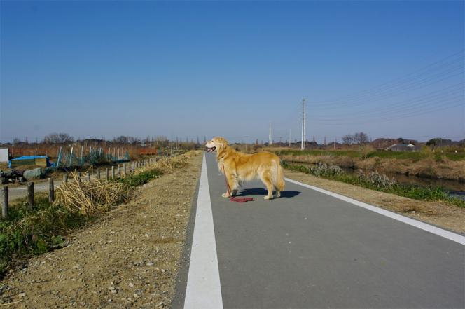 クリックで大きな画像に