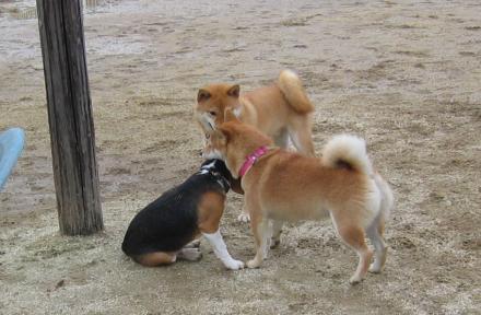 クリックで大きな画像に
