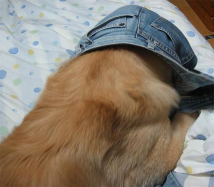クリックで大きな画像に