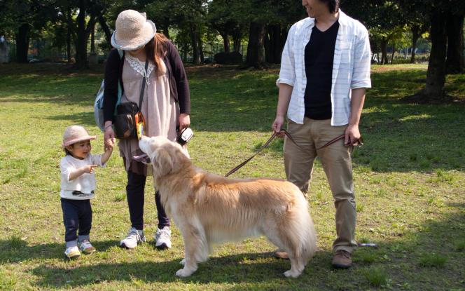 クリックで大きな画像に