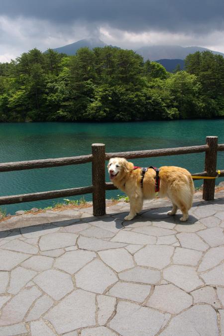 クリックで大きな画像に