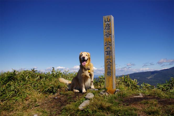 クリックで大きな画像に