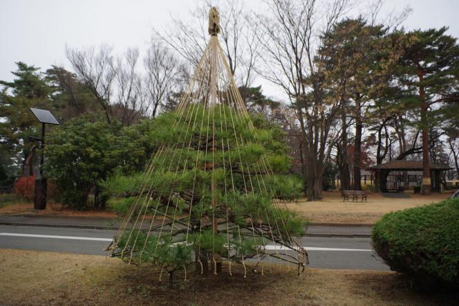 クリックで大きな画像に