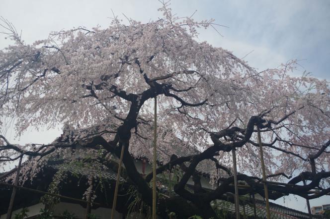 クリックで大きな画像に