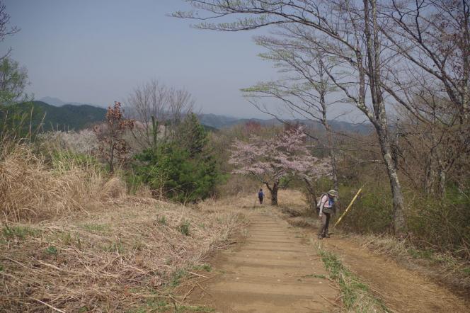 クリックで大きな画像に