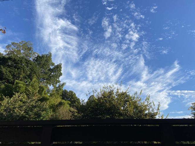 クリックで大きな画像に