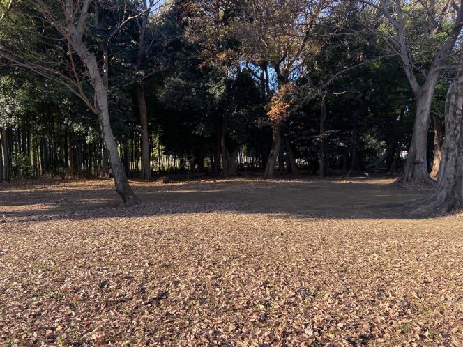 クリックで大きな画像に