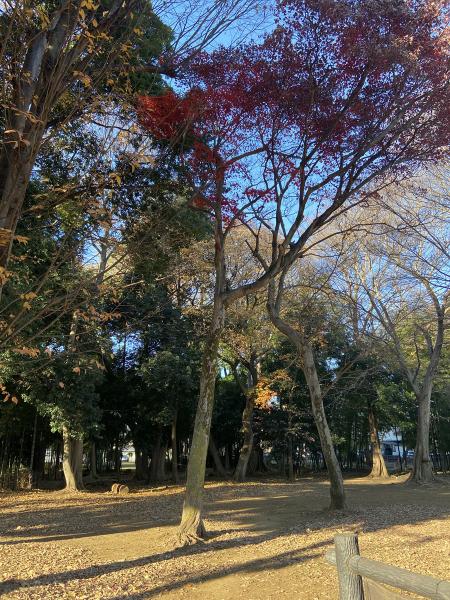 クリックで大きな画像に