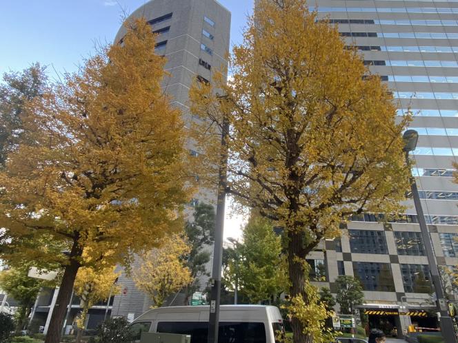 クリックで大きな画像に