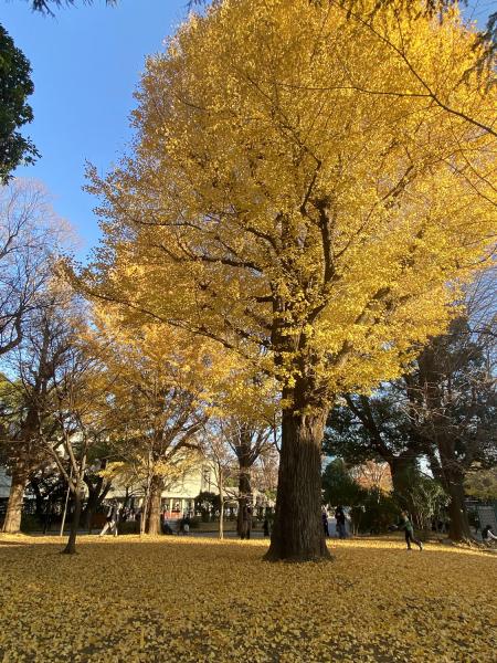 クリックで大きな画像に