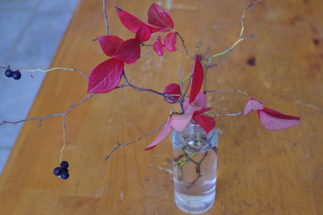 クリックで大きな画像に