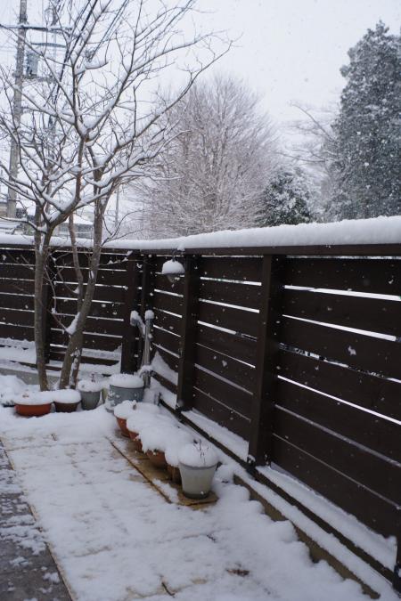 クリックで大きな画像に