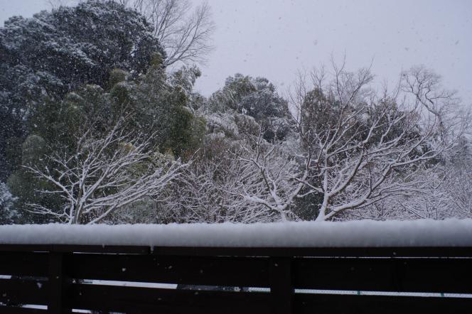 クリックで大きな画像に