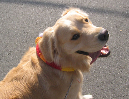 kaiだらけでごめん